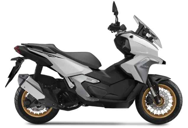 Um Rockville 300 a Torino